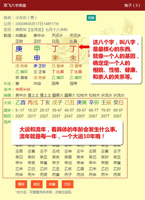 九龍道長八字排盤